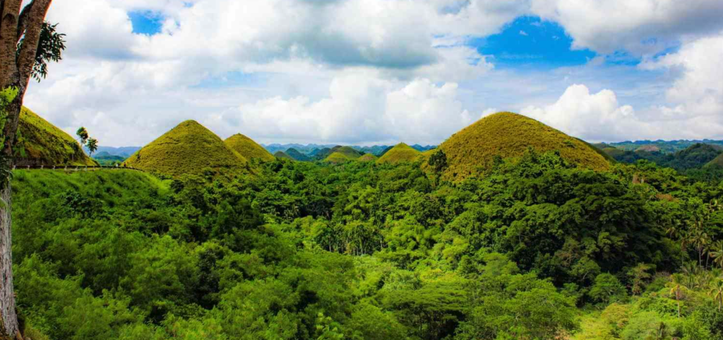 Bohol, Chocolate Hills